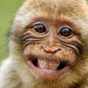 Meet your Posher, Gary